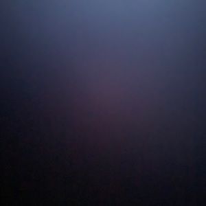 Meet your Posher, Rhett